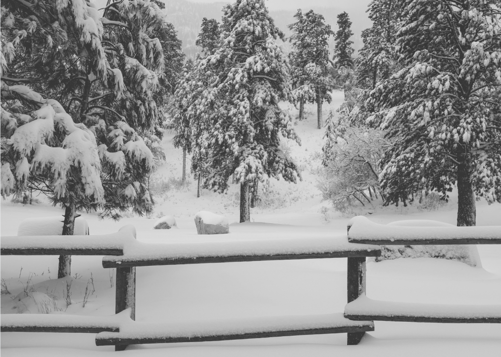 1976: Groundhog Day gale of 1976